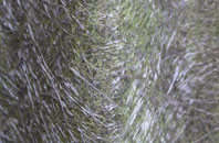 Hill Ridware fibreglass roof work